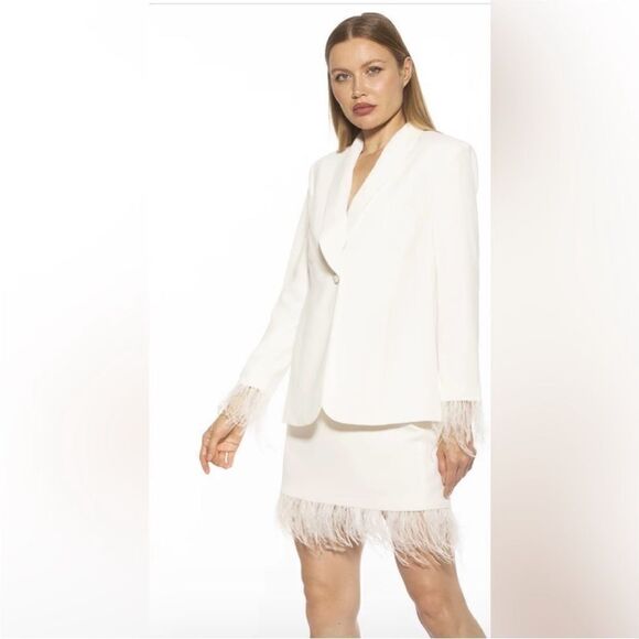 NWT Alexia Admor Flora Ostrich Feather Mini Skirt size 6 - Picture 1 of 9